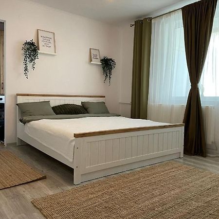 Carol Apartament'S Timisoara Bagian luar foto